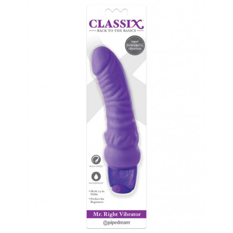 debra/realistic-vibrators/classix-mr-right-vibrator-purple